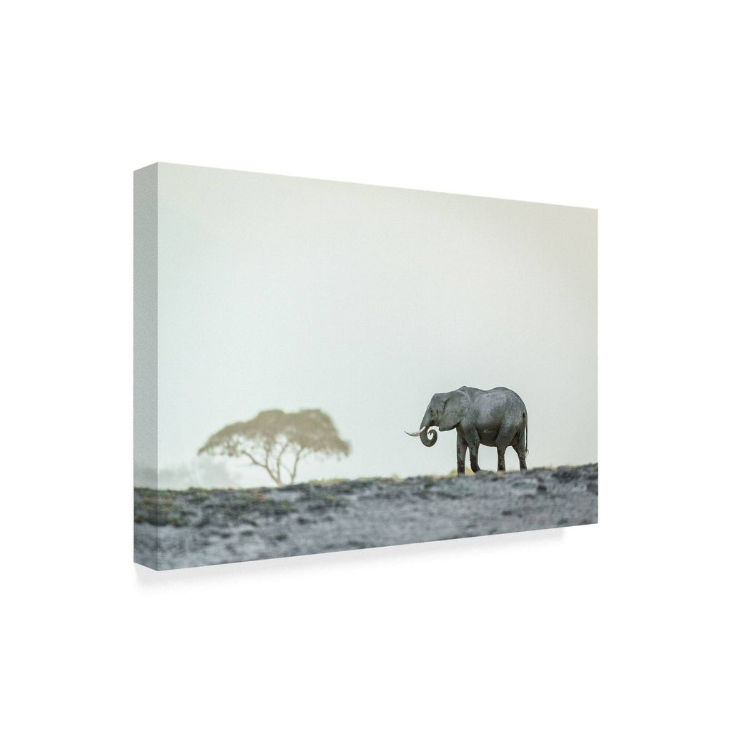 Canvas Art V817959