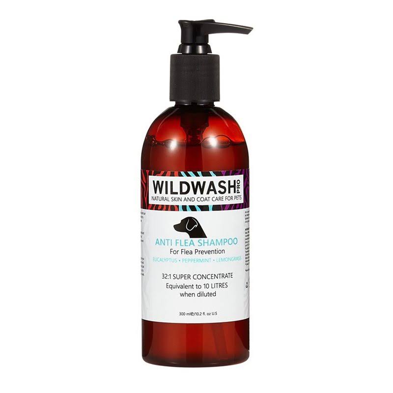 Anti Flea Shampoo Y883918
