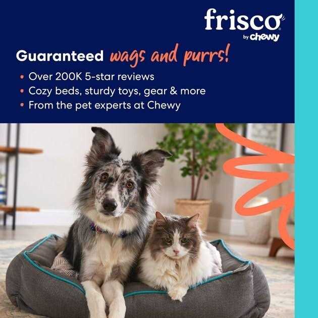 High Sided Cat Litter Box B38135