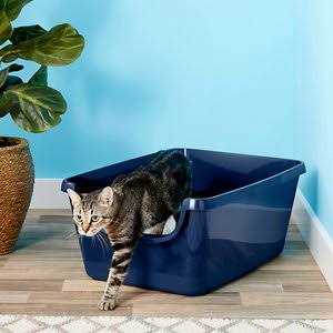 High Sided Cat Litter Box B38135