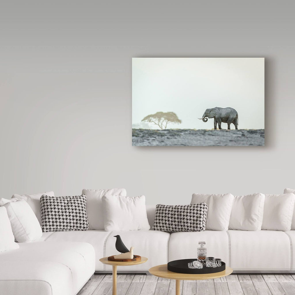 Canvas Art V817959