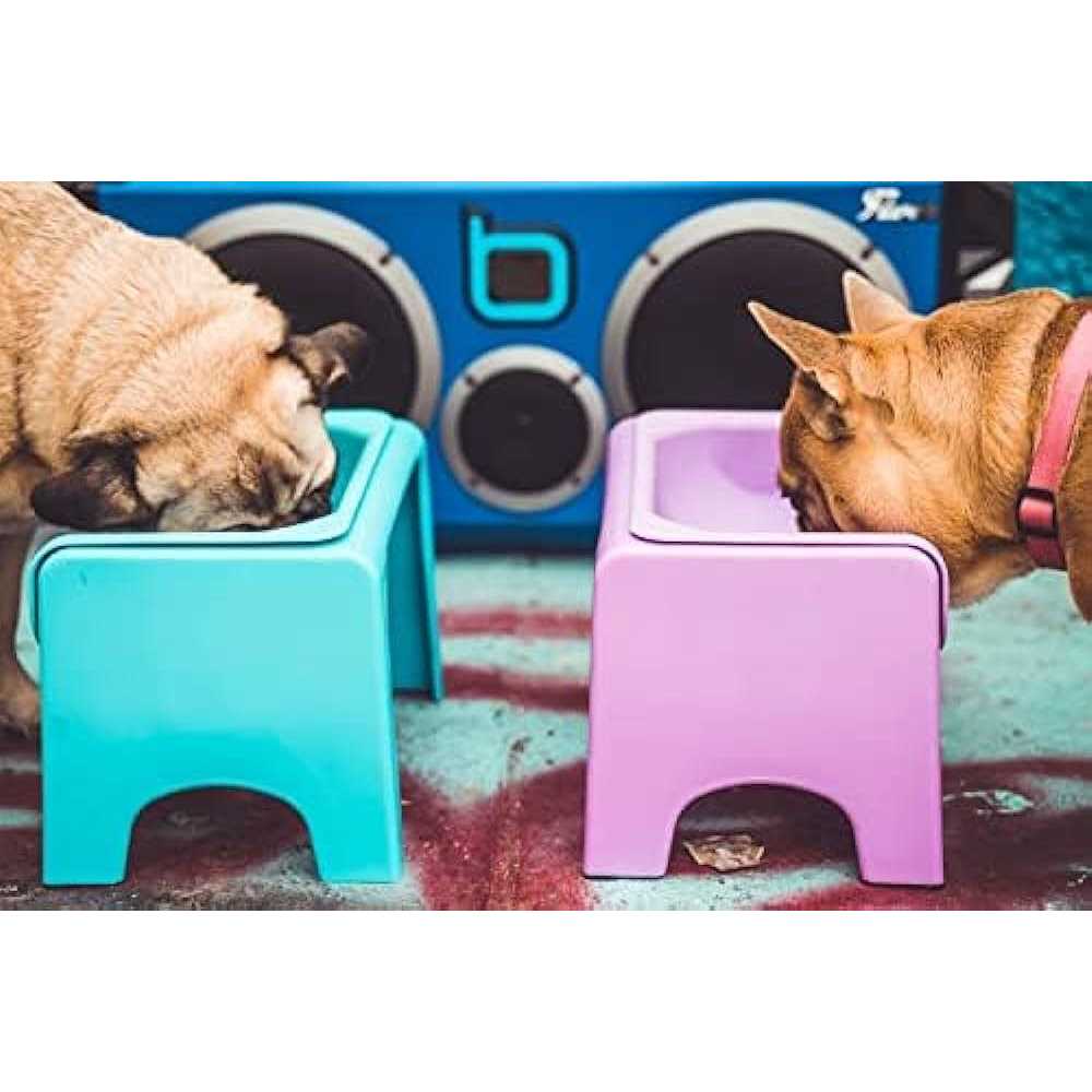 Elevated Dog & Cat Feeder K339039