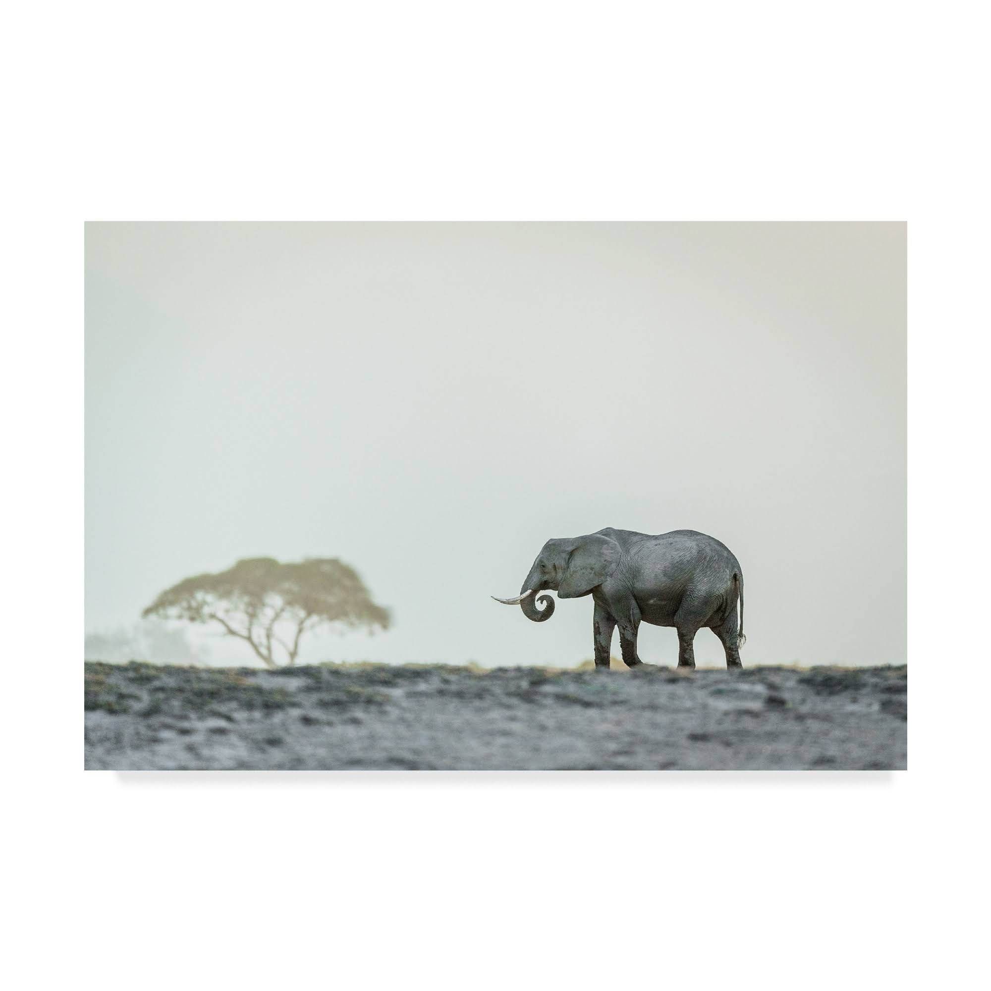 Canvas Art V817959